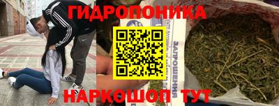 прущие крисы Кандалакша