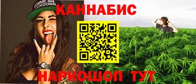 не бодяженный Камышлов