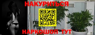 прущие крисы Кандалакша