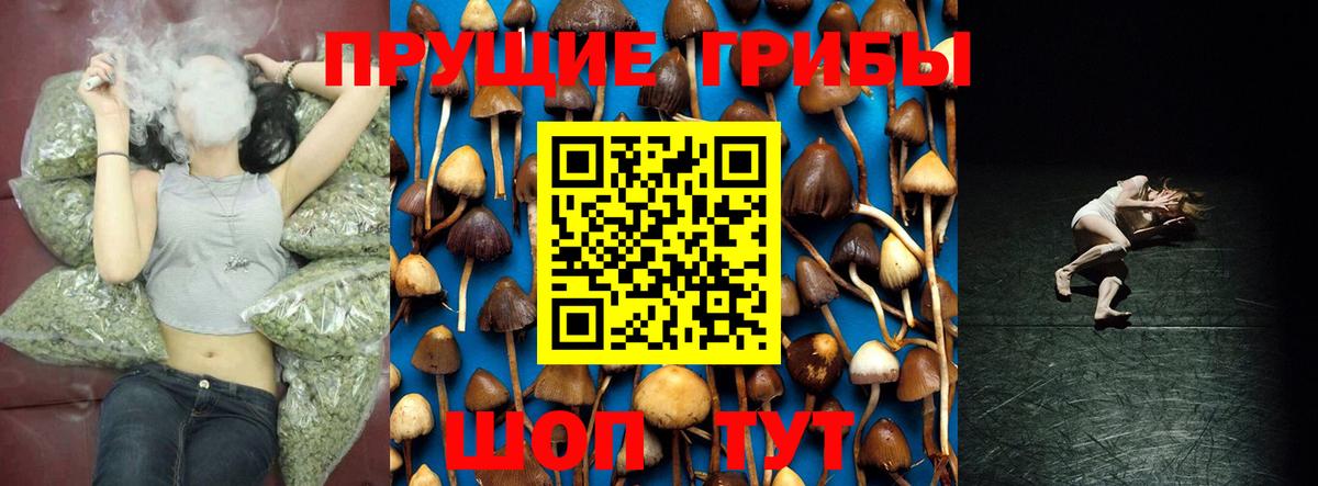 Галлюциногенные грибы прущие грибы  Вход с VPN  Красный Сулин 